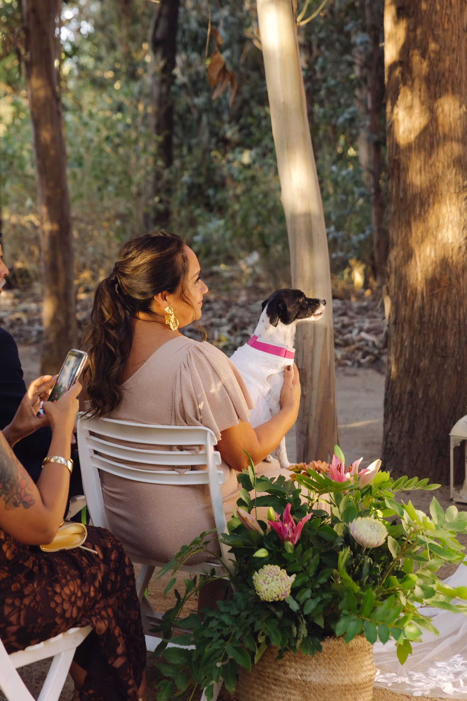 Wedding guest holds a small dog with pink collar while seated at an outdoor forest reception.