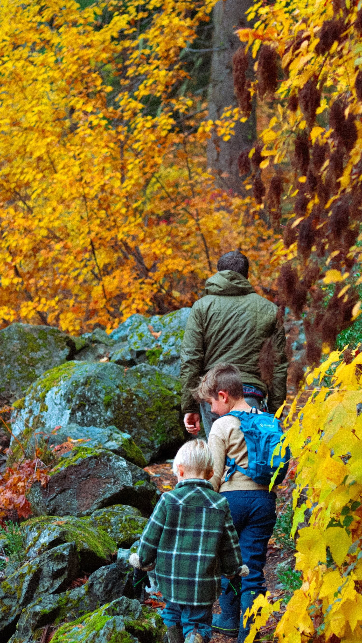 Adult and two children hiking through a vibrant autumn forest with colorful yellow and red foliage.