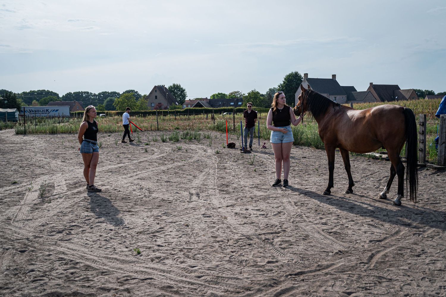 Team oefent naast een paard tijdens een ervaringsgerichte teambuilding.