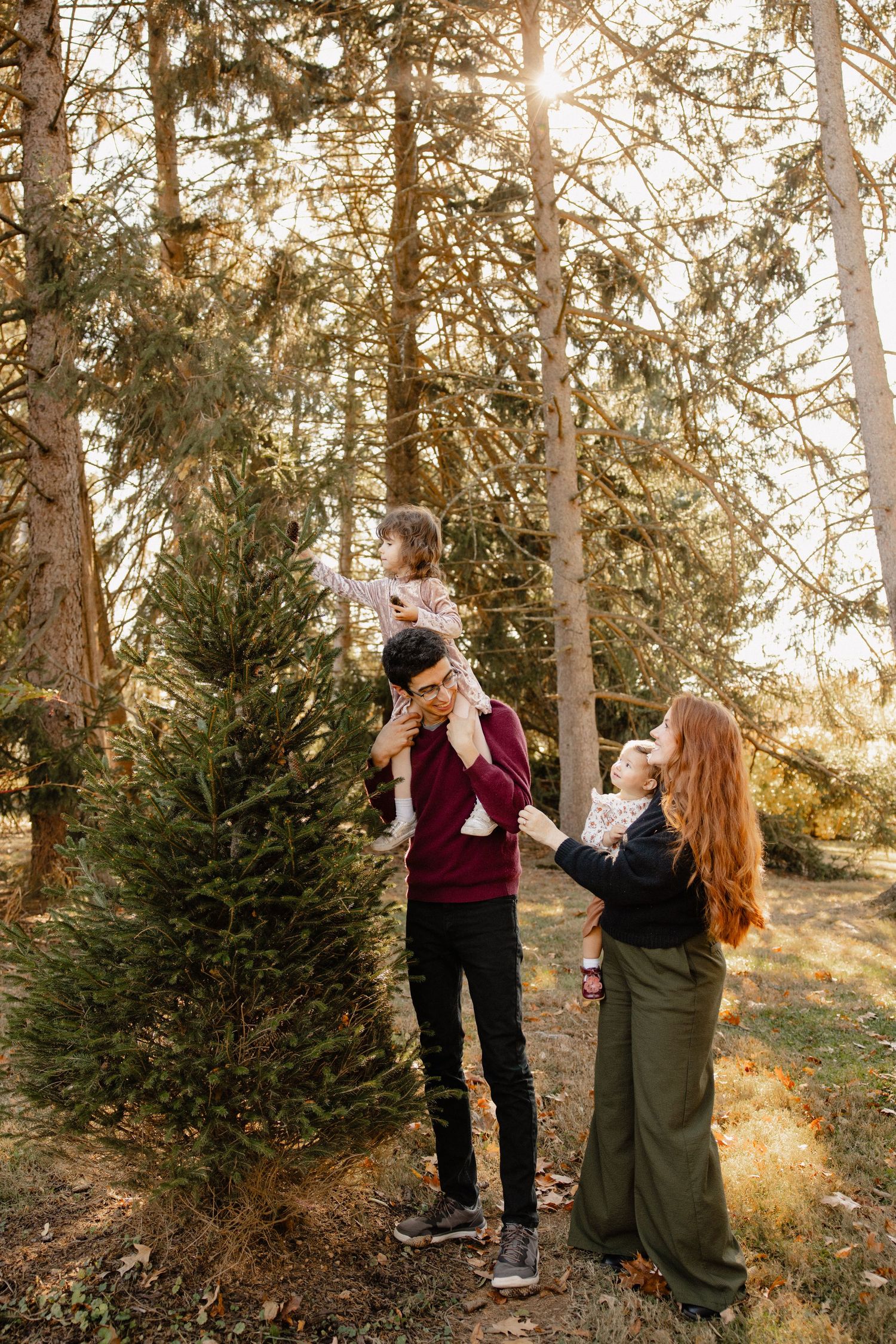 Family with two young children enjoying a sunny autumn day among evergreen trees, father lifting toddler on shoulders.