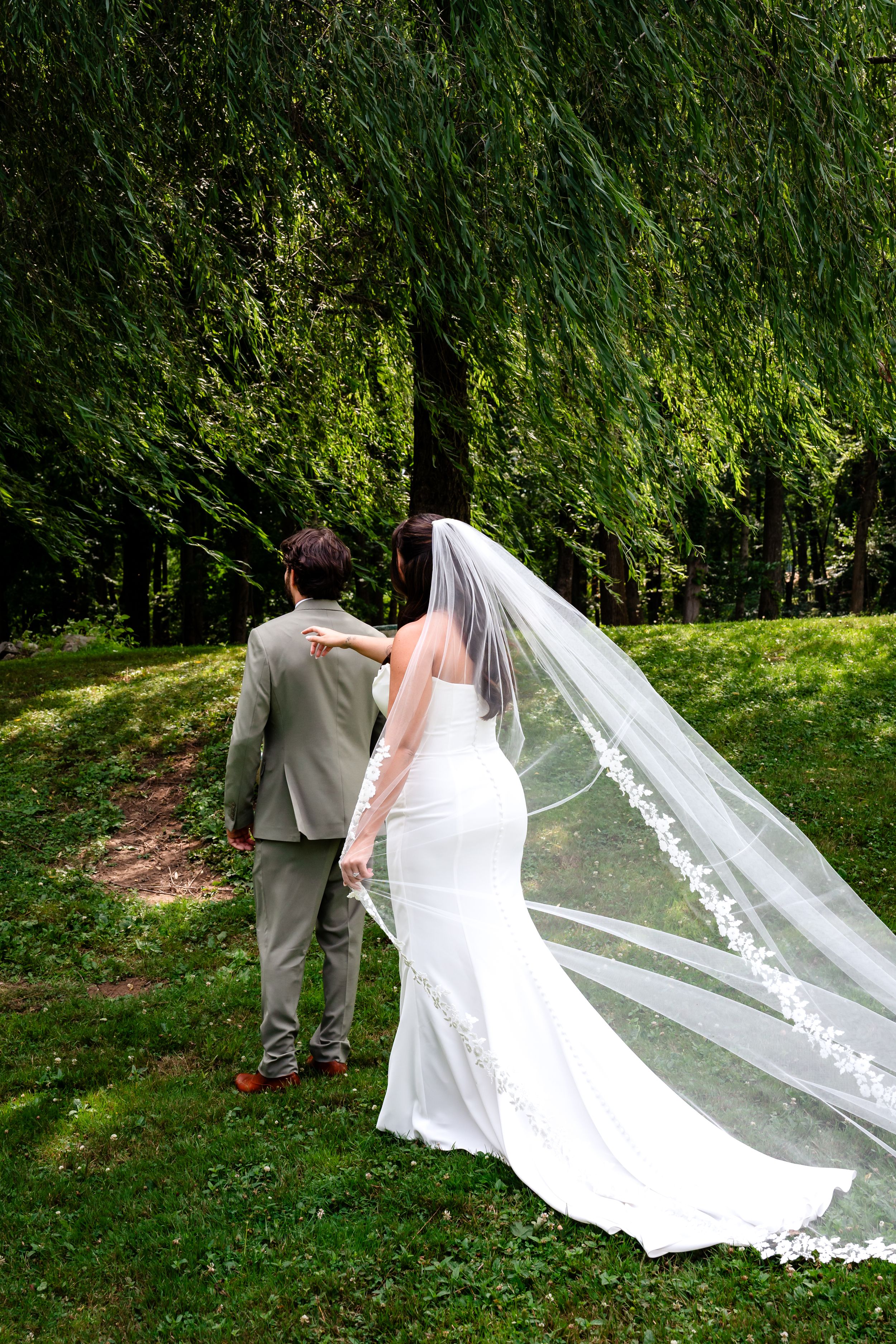 Bride and groom walk hand in hand toward lush weeping willow tree on wedding day.