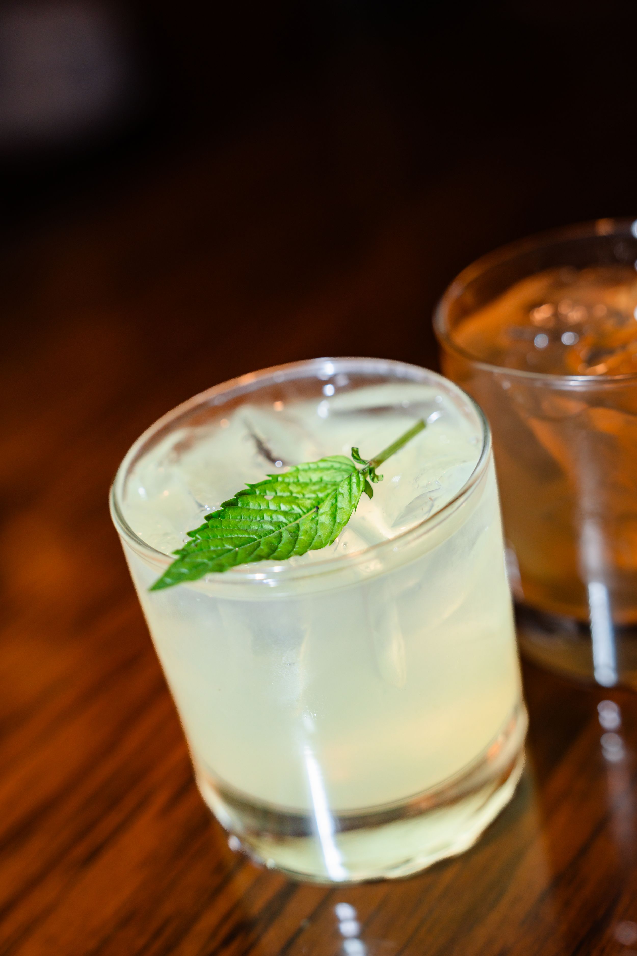 A refreshing cocktail garnished with fresh mint leaves served in a rocks glass on a wooden bar.
