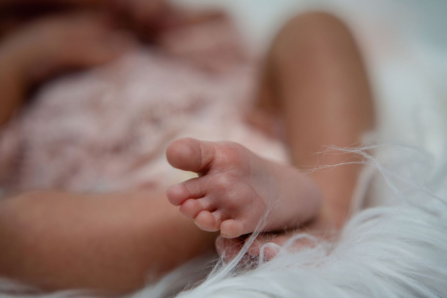 Close-up of newborn baby feet on soft white fluffy blanket.