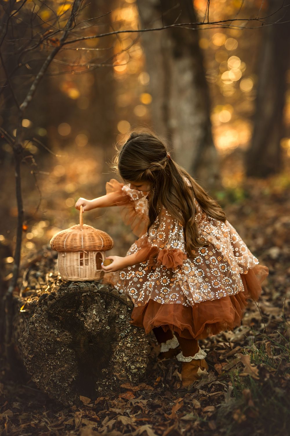 Young girl in floral dress placing a wicker mushroom basket on mossy rock in autumn forest.