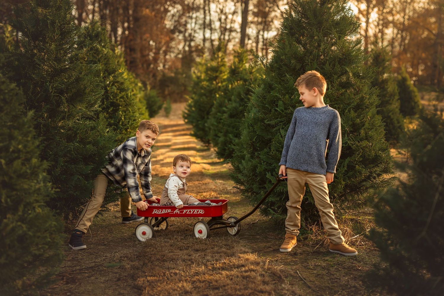 Three children at a Christmas tree farm, two boys pushing a baby in a red Radio Flyer wagon among rows of green trees.