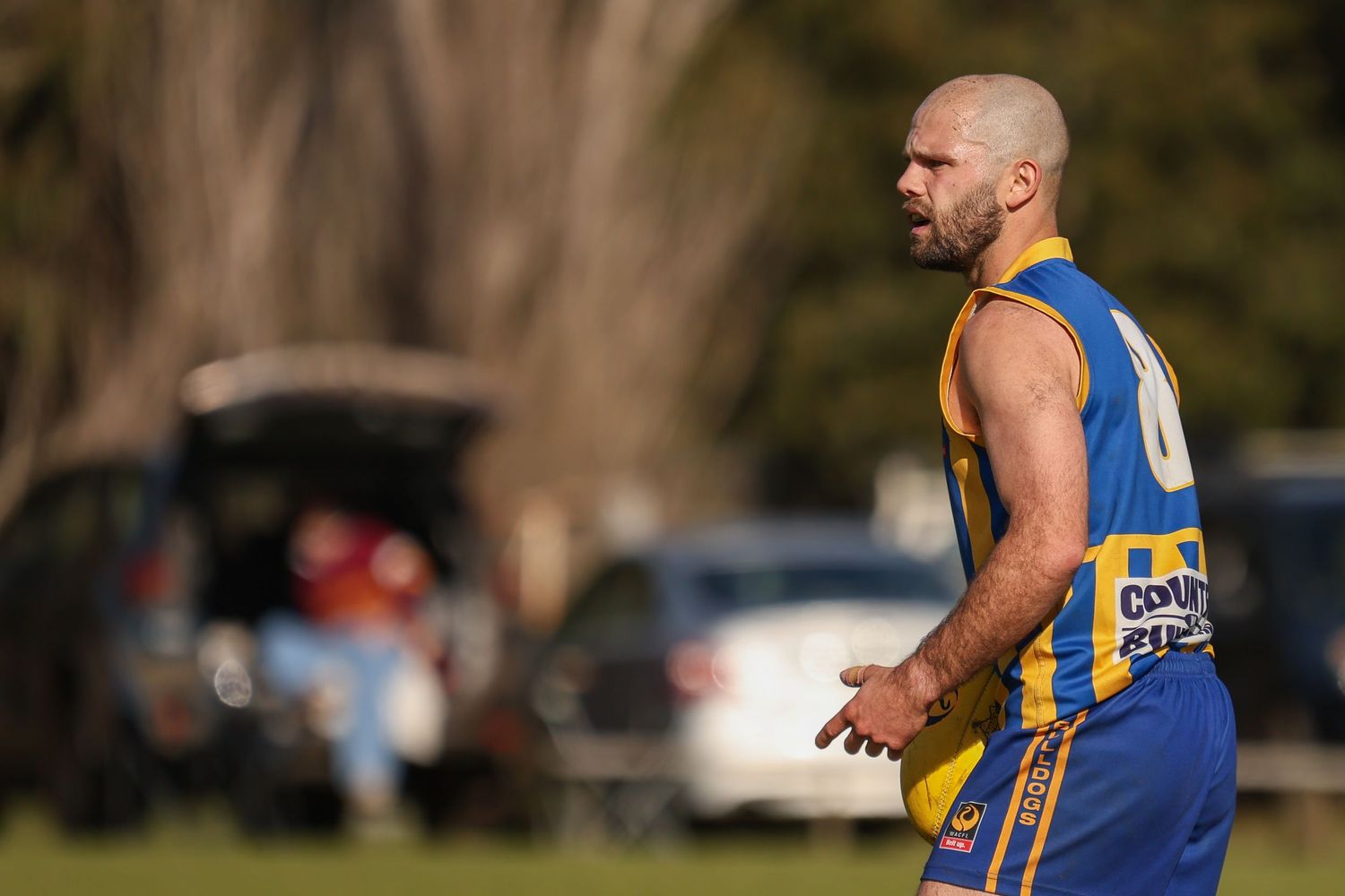 AFL player in blue and yellow jersey gestures during an outdoor match on a grass field with cars parked in background.