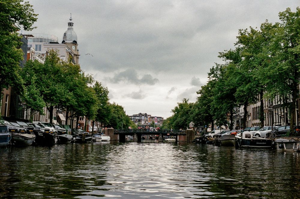 A serene Amsterdam canal lined with green trees and historic buildings under a cloudy sky.