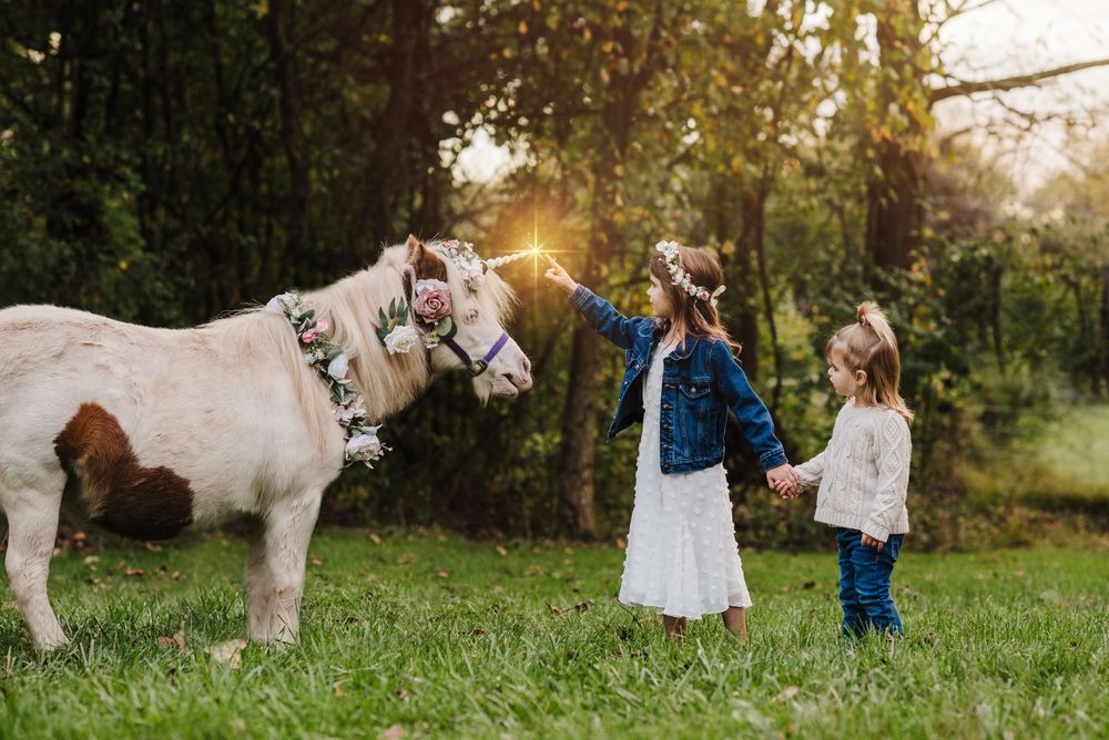 Two young girls in floral crowns hold hands while touching a decorated white pony in a sunlit meadow.