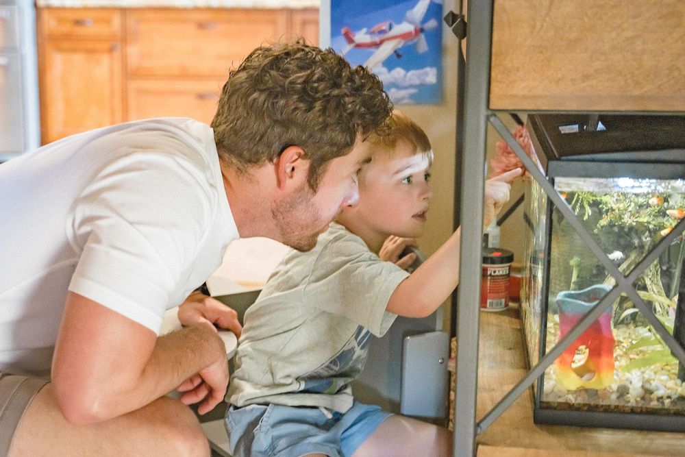 A man and young boy lean in closely to observe colorful fish in a home aquarium together.