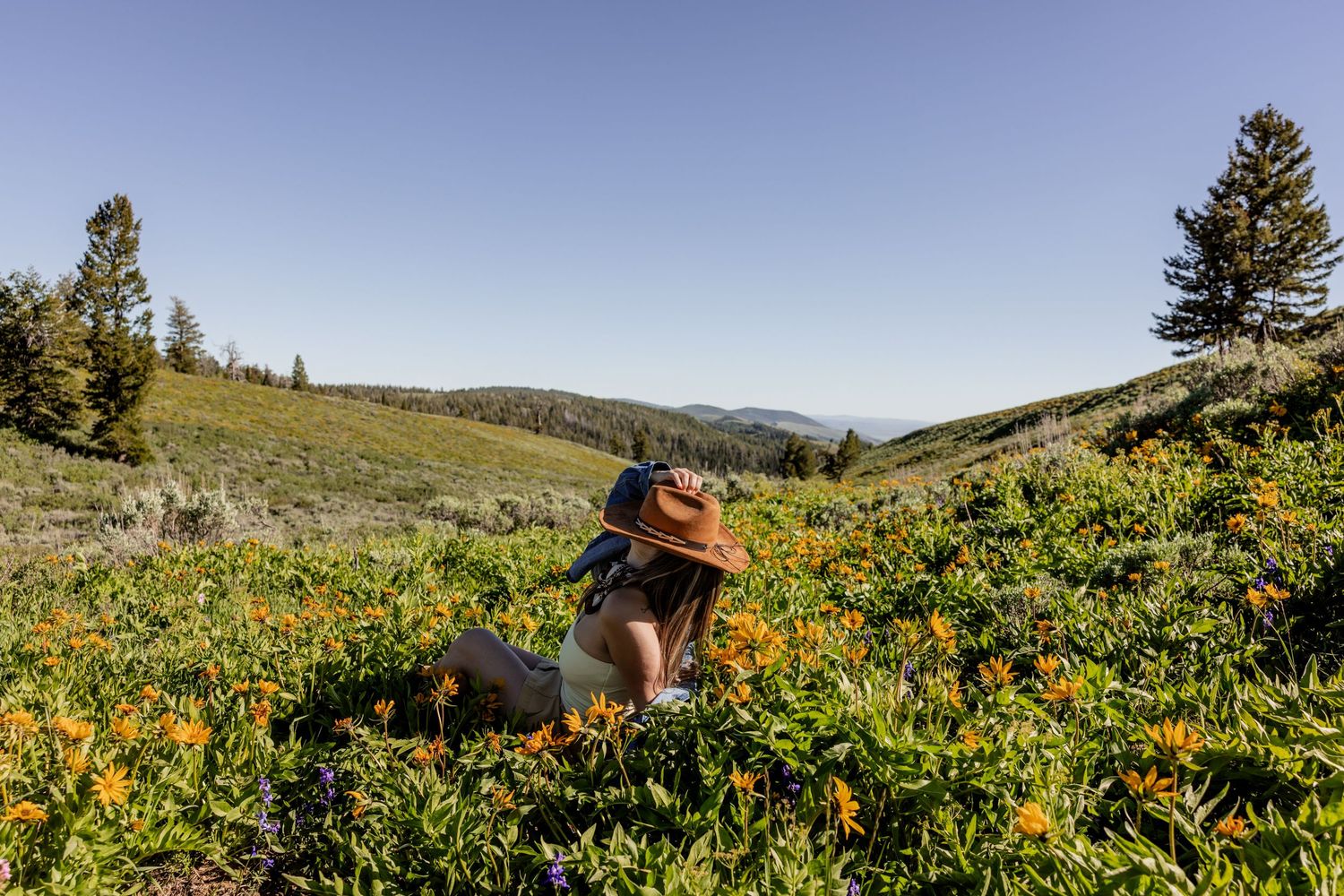 Hiker in brown hat sitting among vibrant orange wildflowers on a scenic mountain meadow trail under clear blue sky.