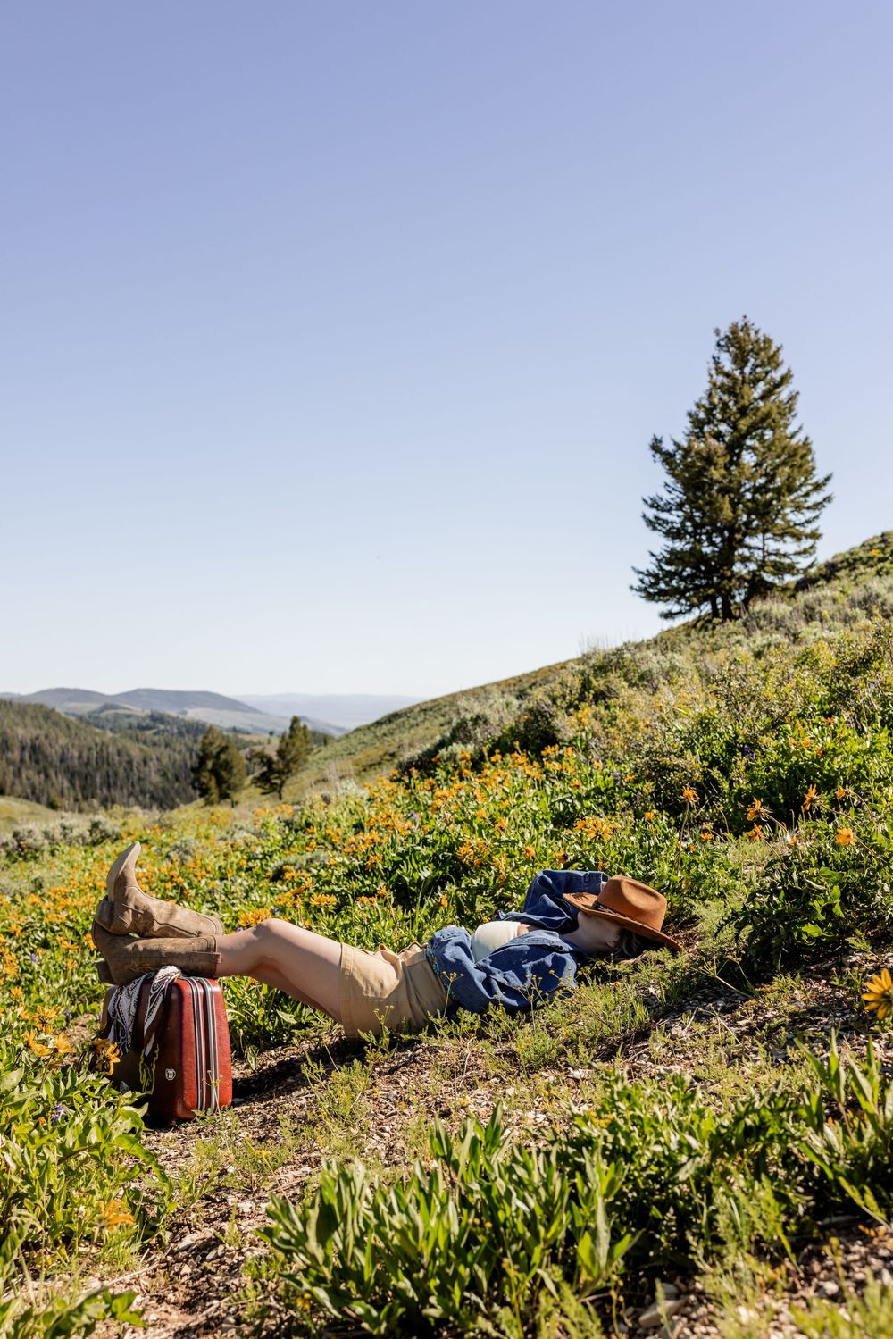 Hiker resting in a mountain meadow with wildflowers, backpack nearby, and a lone pine tree against a clear blue sky.