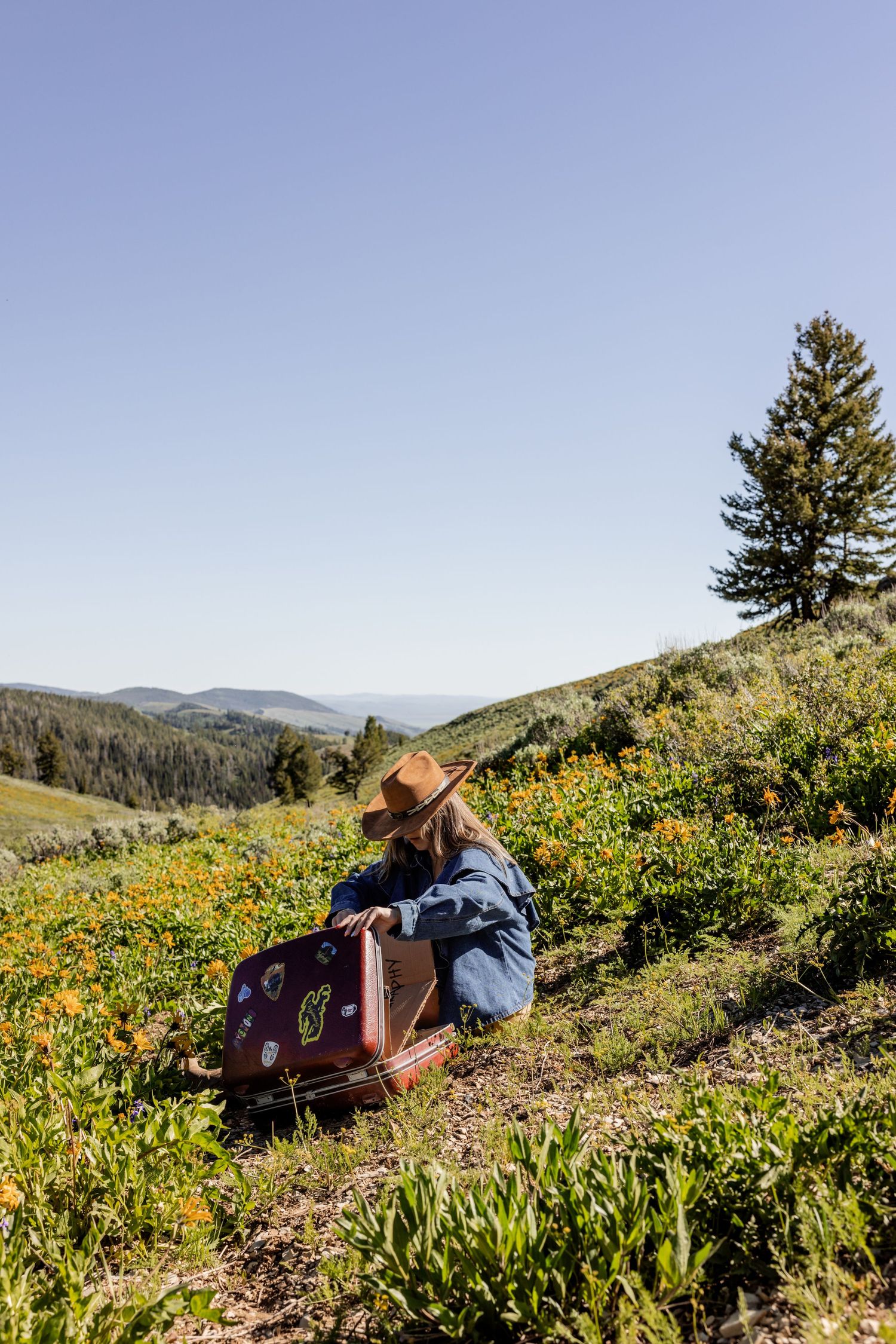 Woman in hat sitting with vintage sticker-covered suitcase on a wildflower hillside with scenic valley views.