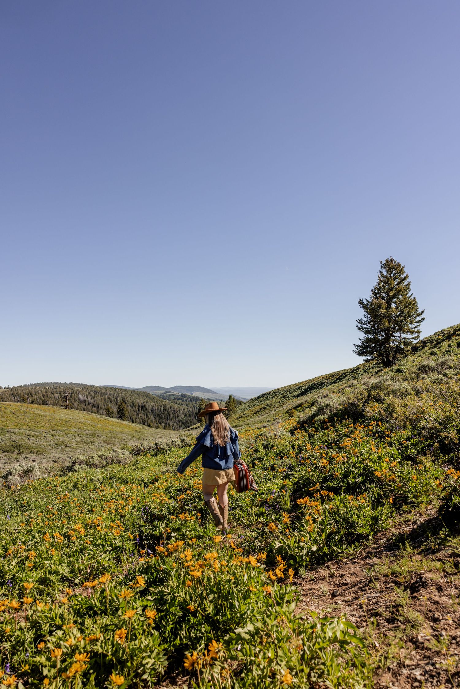 Woman hiking through a vibrant wildflower meadow on a sunny day with rolling green hills and a lone pine tree.
