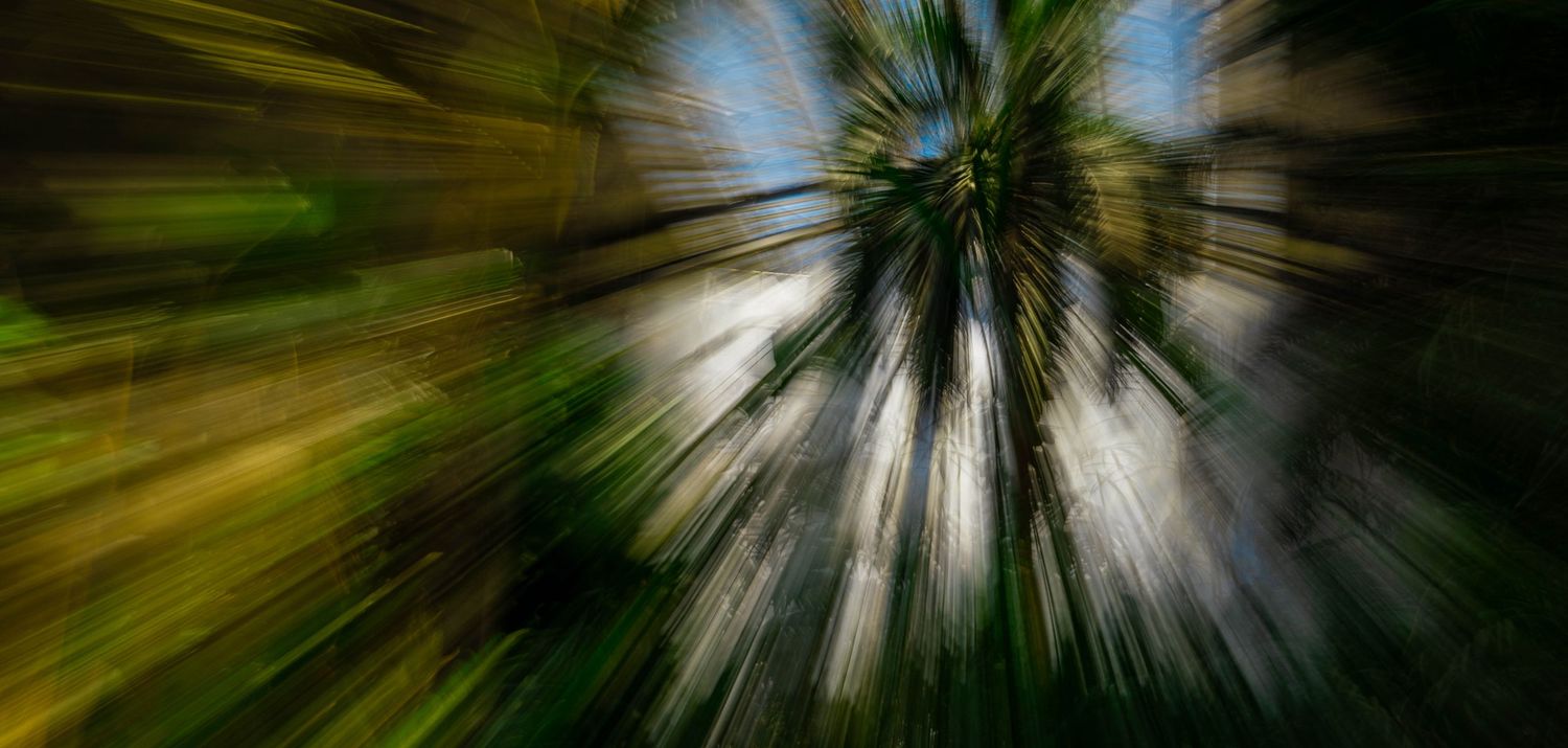 Motion blur photography of tropical palm trees shot from below creating radial zoom effect.