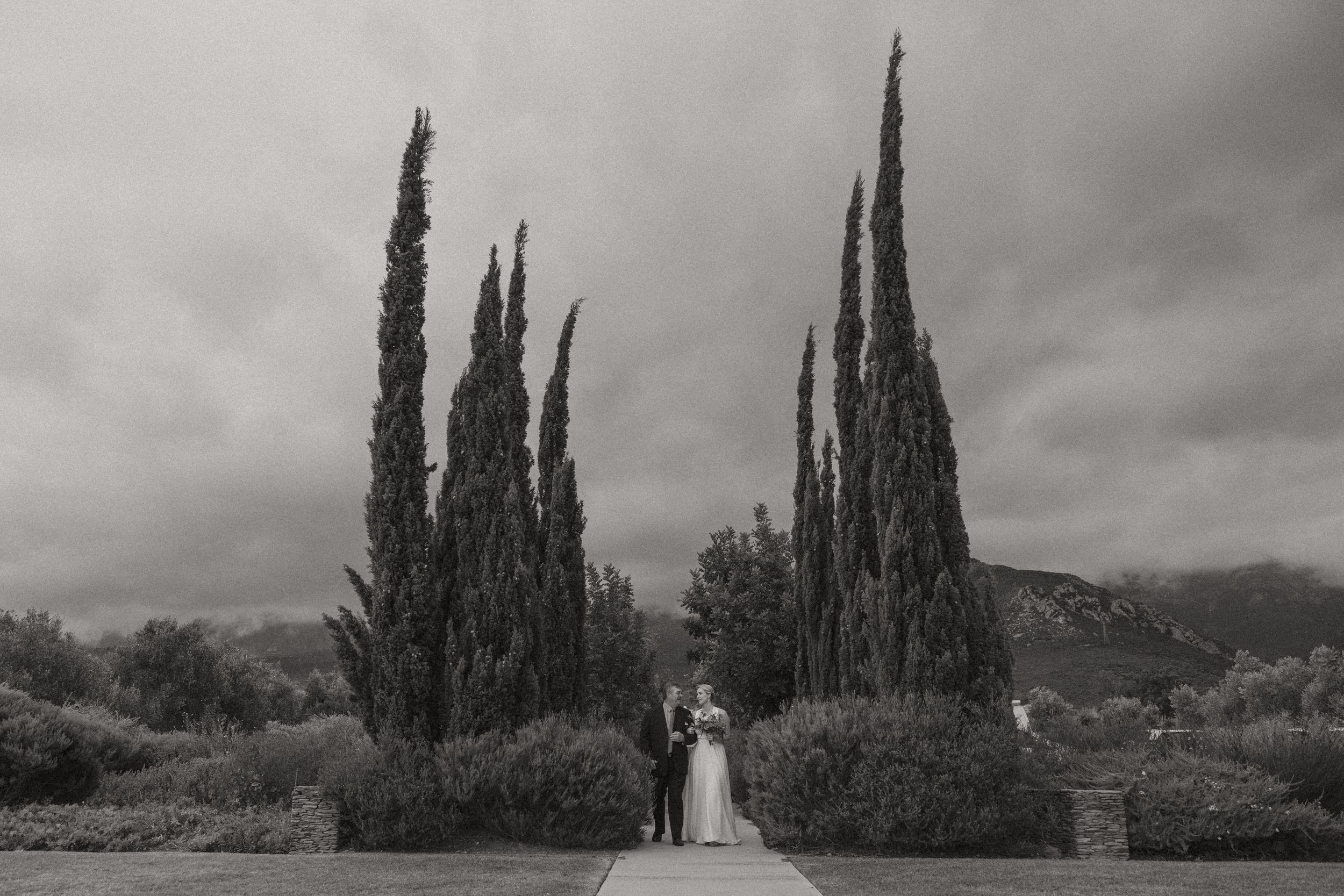 Browse Cape Town and Cape Winelands wedding venues for real weddings and inspiration by Christene de Coning Photography at Bosjes.