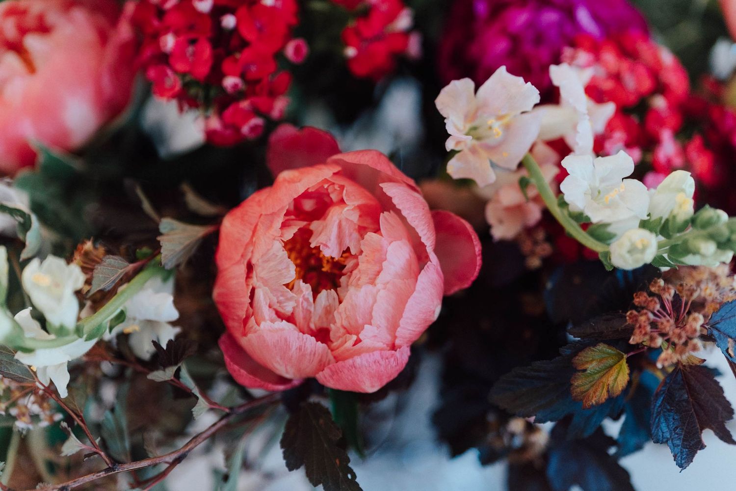 Close-up of a vibrant floral arrangement featuring a pink peony, red blooms, and white flowers with dark foliage.