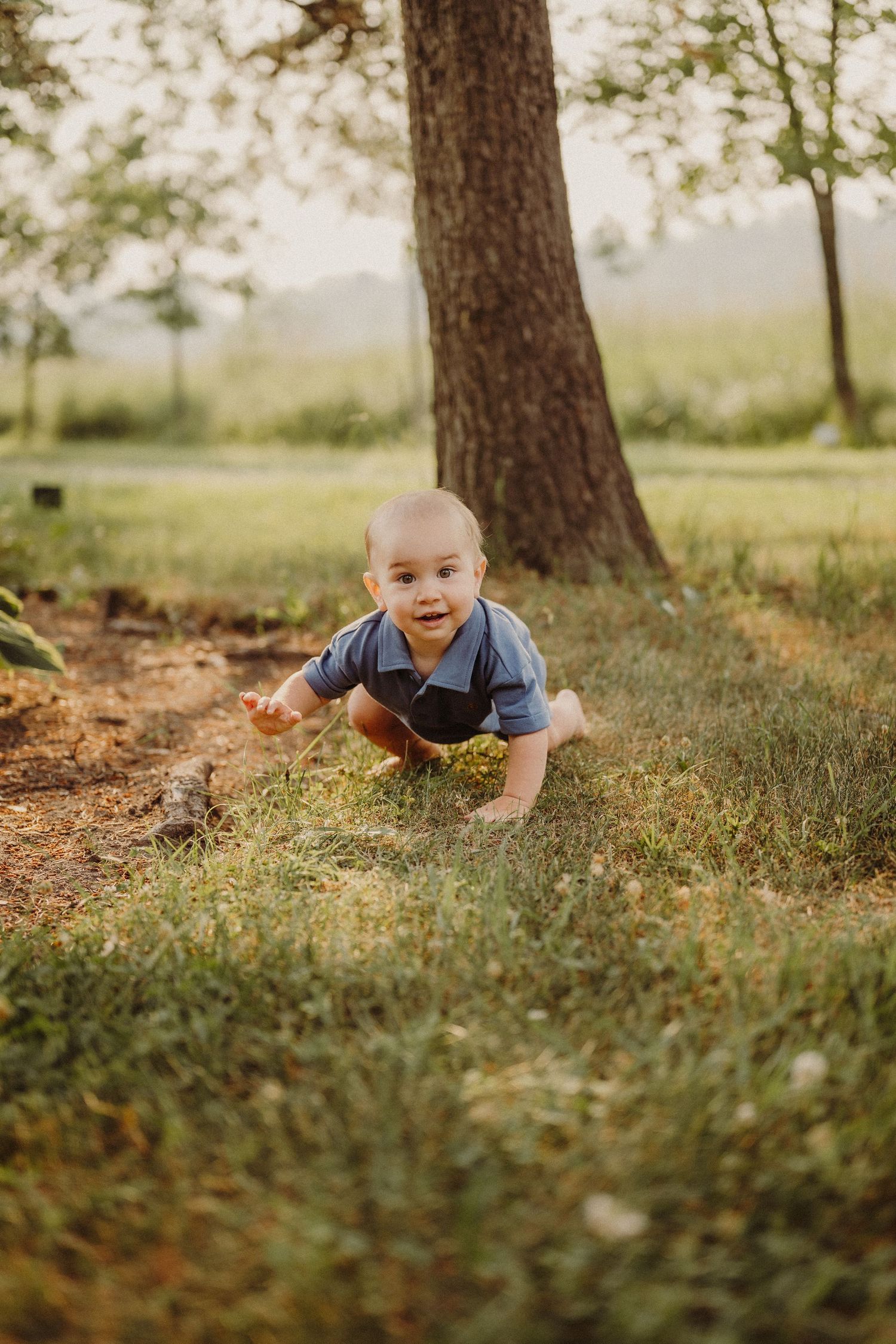 A baby boy in a blue shirt crawls on green grass outdoors near a large tree trunk.