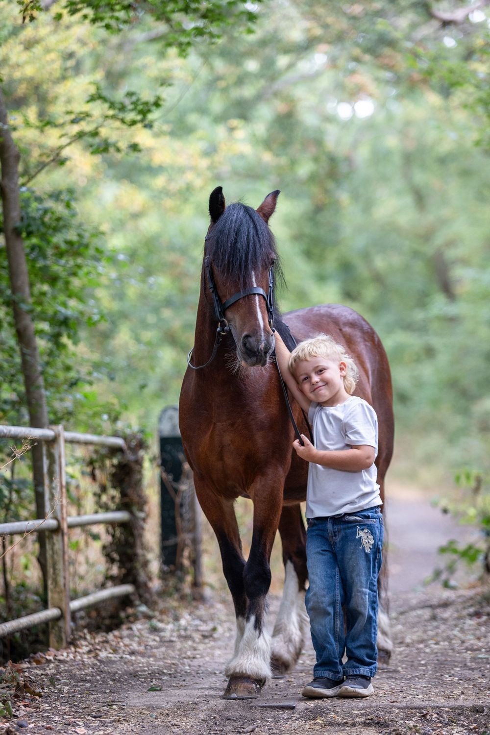 A young blonde child walks alongside a large bay horse on a tree-lined path, gently resting their hand on the horse.