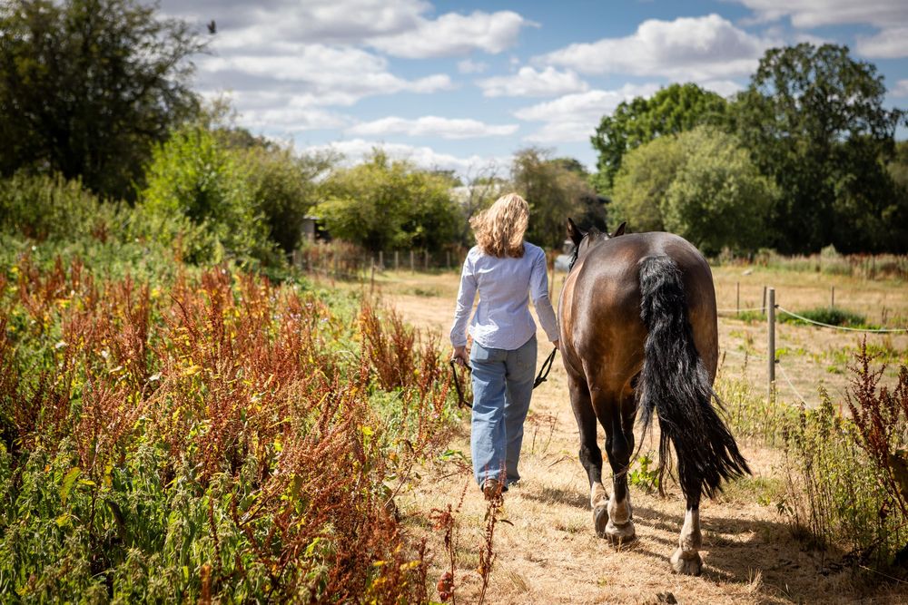 Woman with blonde hair walks alongside a bay horse on a sandy path surrounded by lush greenery on a sunny day.