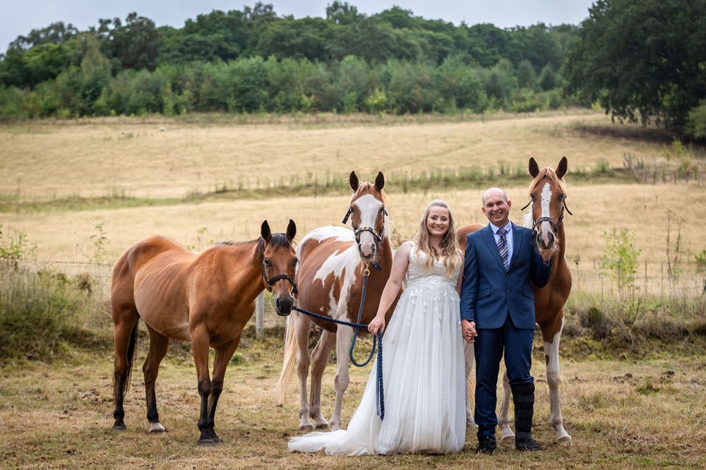 Bride and groom posing with three chestnut horses in a golden field on their wedding day.