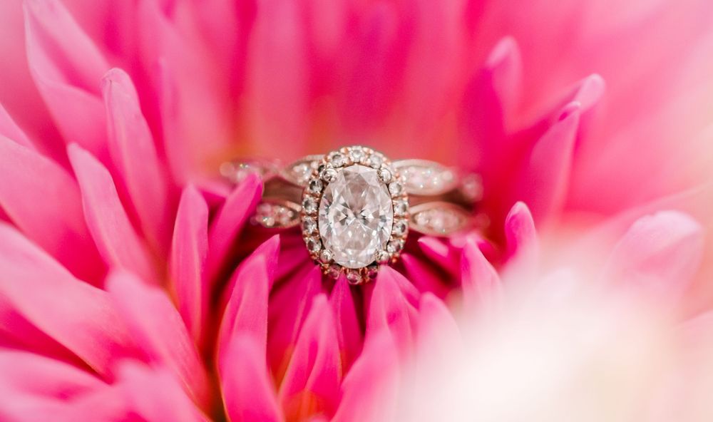 Oval diamond halo engagement ring nestled in vibrant pink gerbera daisy flower petals.