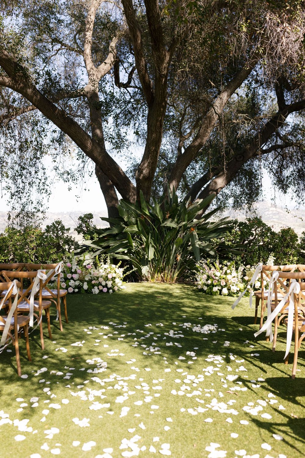 Outdoor wedding ceremony aisle with white rose petals on green grass, wooden chairs, and floral arrangements under a large tree.