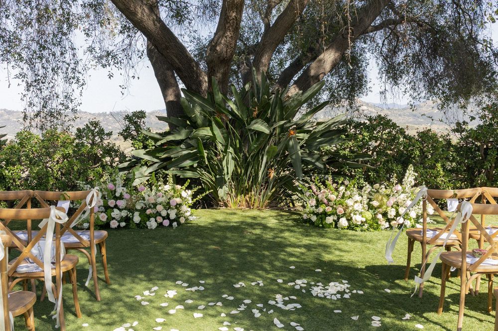 Outdoor wedding ceremony setup with wooden chairs, white floral arrangements, and a grand tree backdrop on lush green lawn.