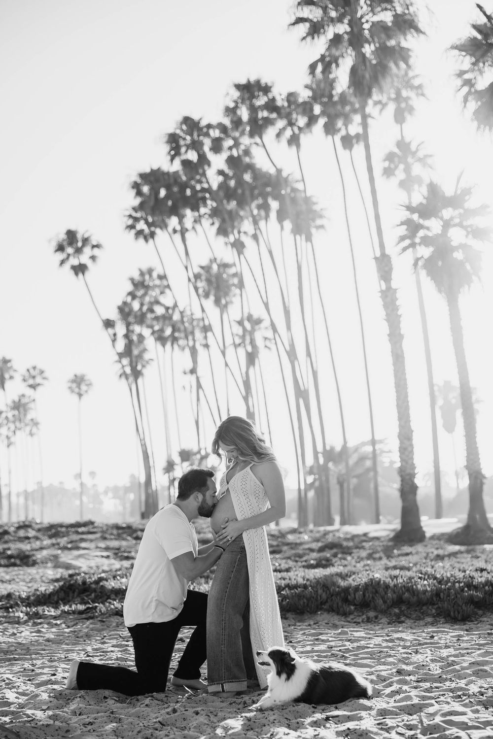 Black and white beach proposal with man on one knee, woman in flowing dress, palm trees, and dog nearby.