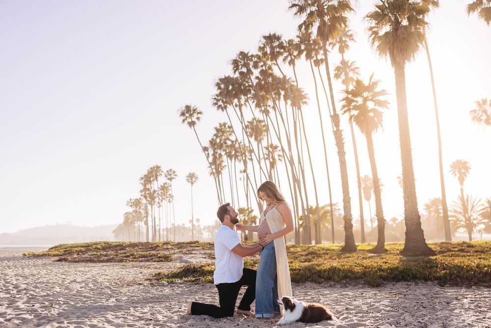 Man proposes to woman on sunny beach with tall palm trees in golden sunset light, small dog sits nearby.