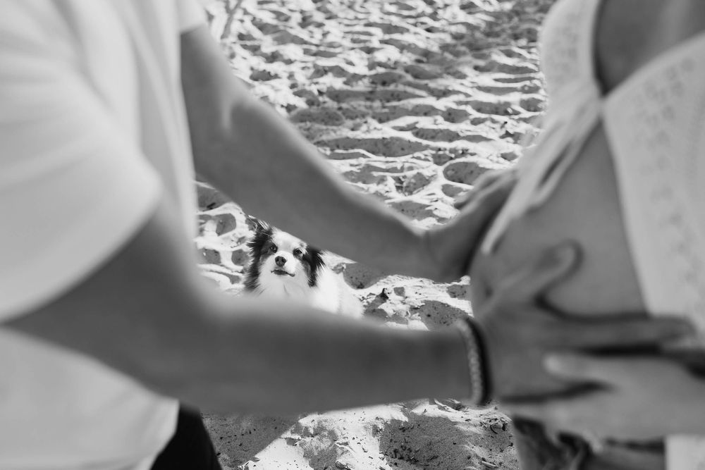 Black and white beach photo of a small dog sitting in sand between two people holding hands.