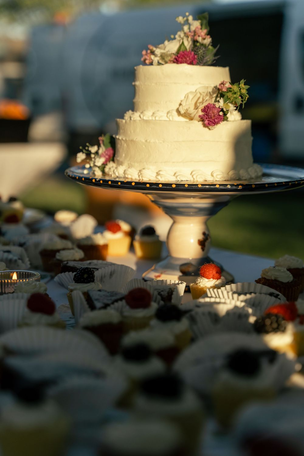 Cake and dessert table detail photo, white icing and berries