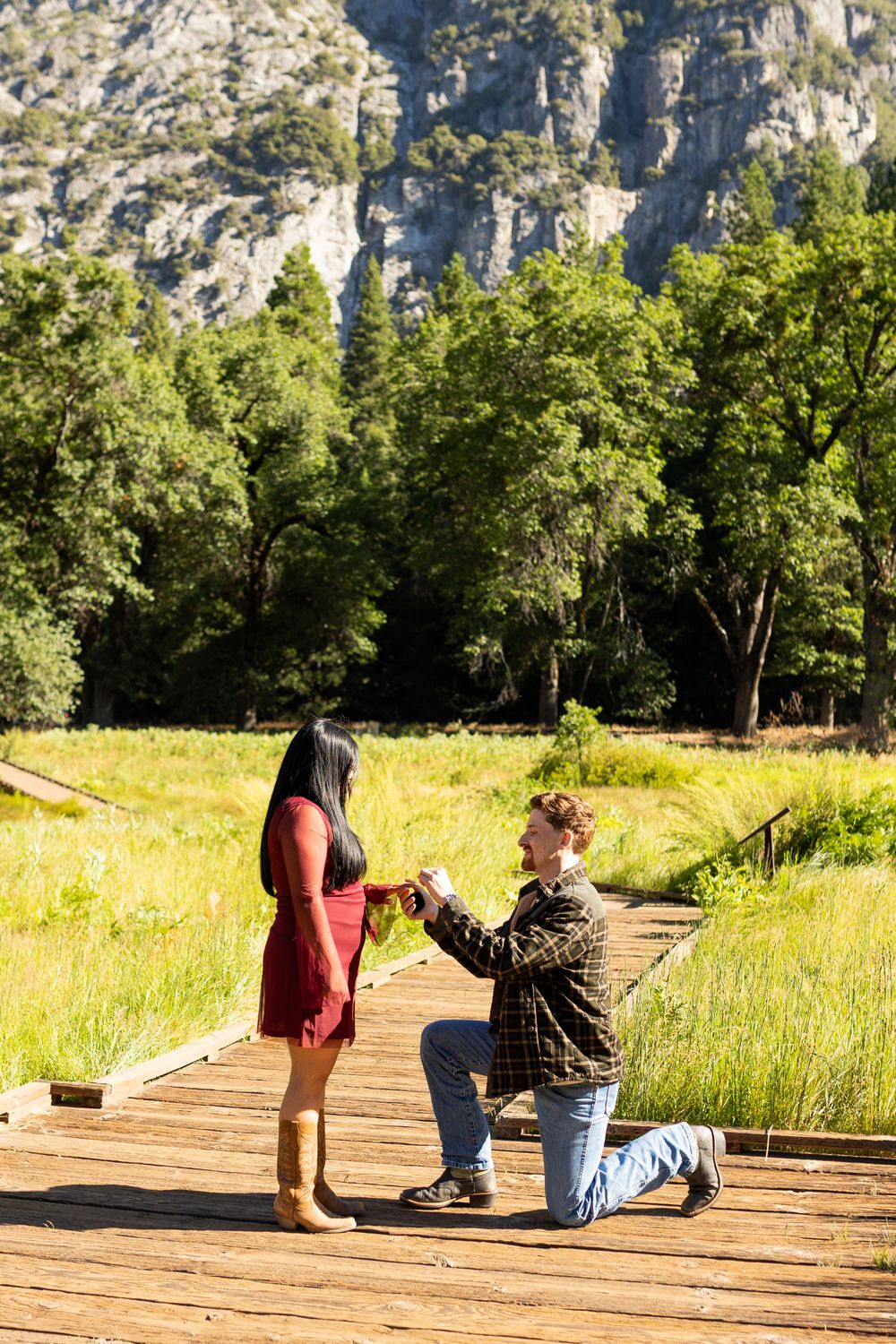 Yosemite National Park proposal overlooking Cook's Meadow.