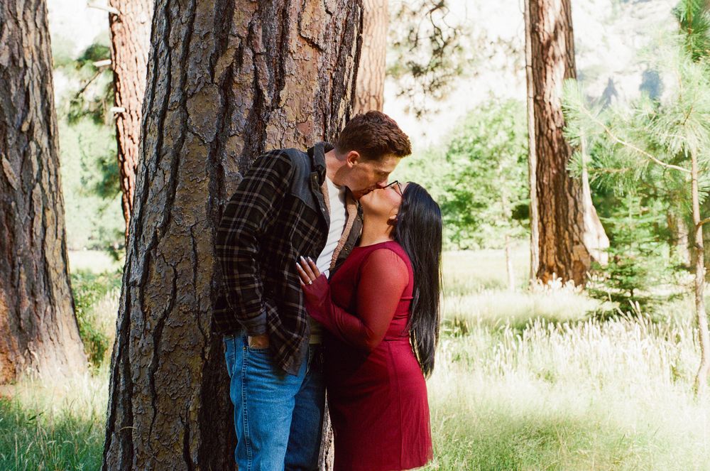 Couple sharing a romantic kiss leaning against a large tree trunk in a lush green forest setting.