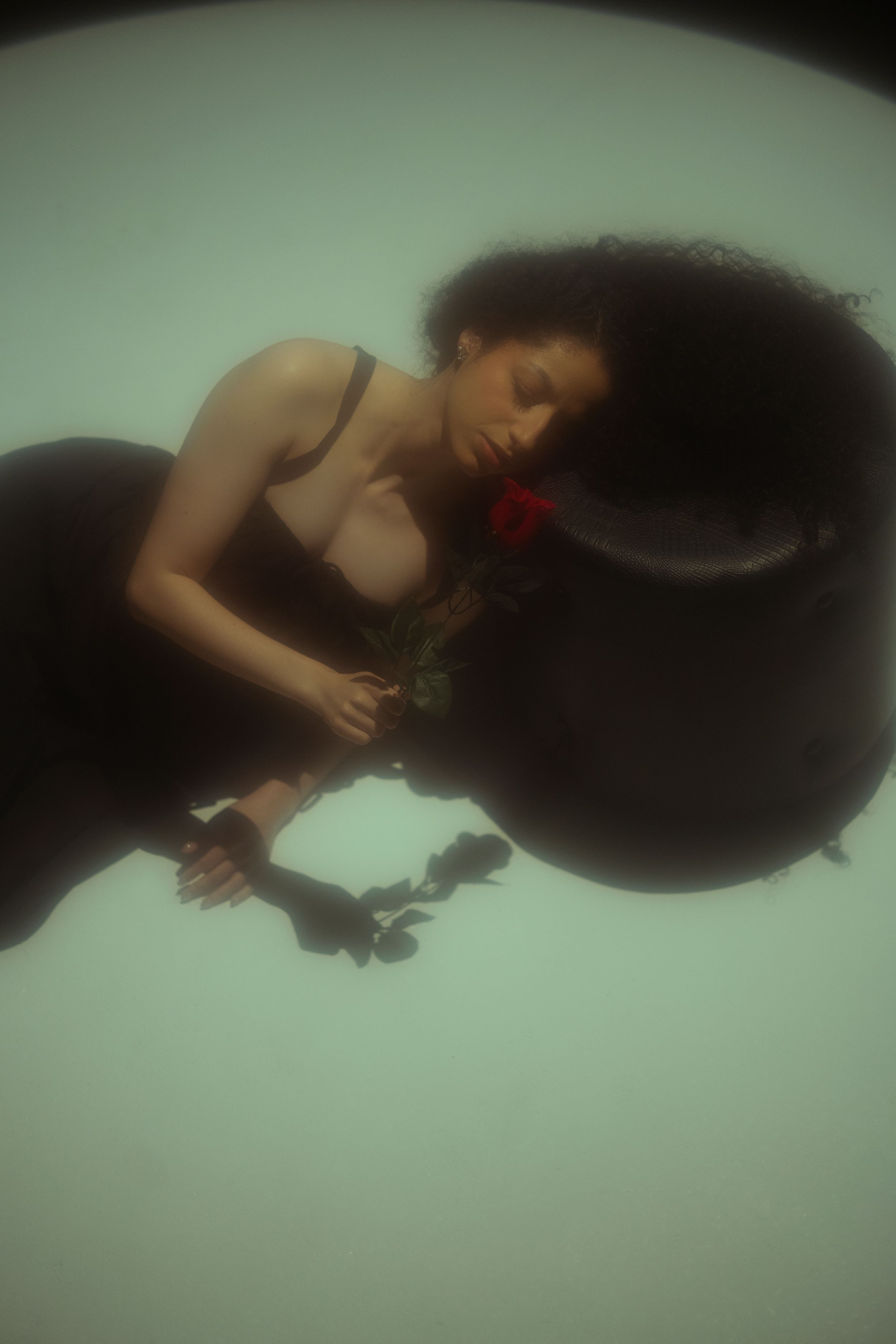 Creative overhead portrait of a woman curled into a sculptural pose under dramatic studio lighting