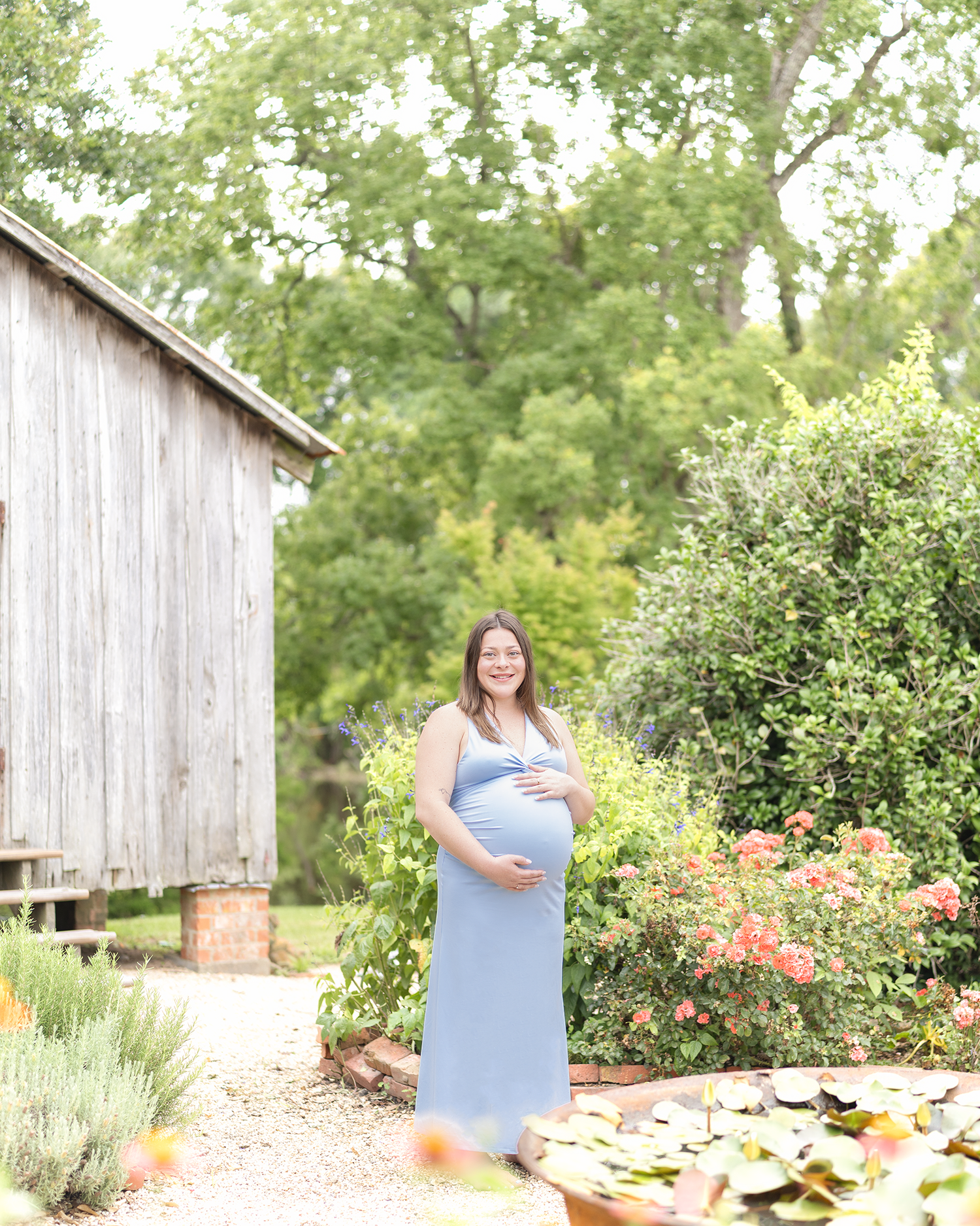 Smiling pregnant woman in light blue dress standing near blooming roses beside a weathered barn.
