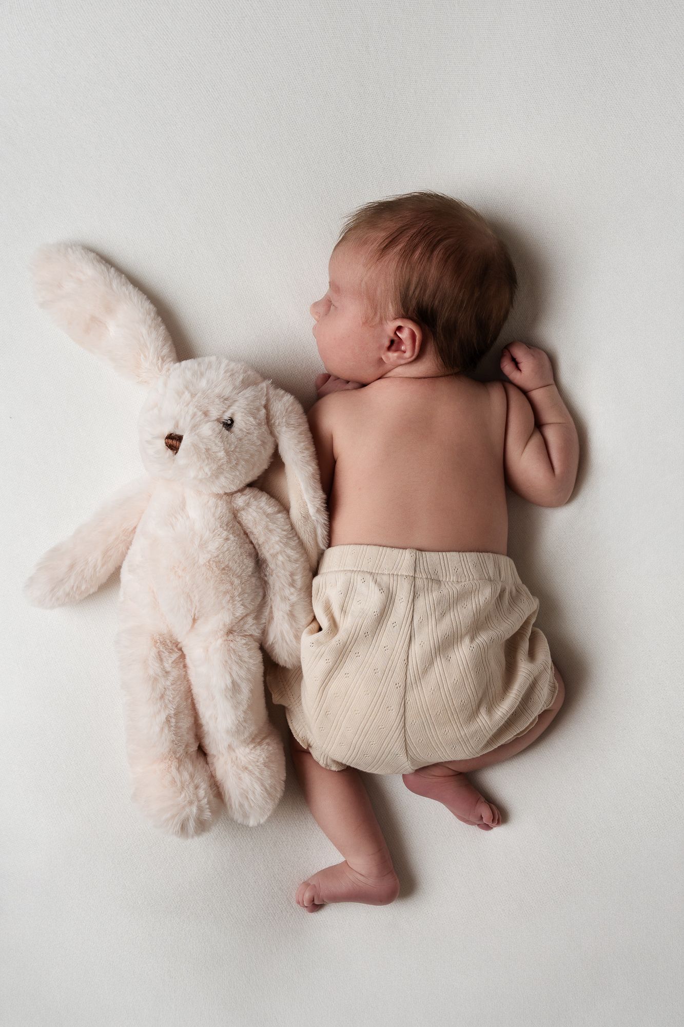 Newborn baby sleeping on white background next to a soft cream plush bunny toy, wearing beige shorts.