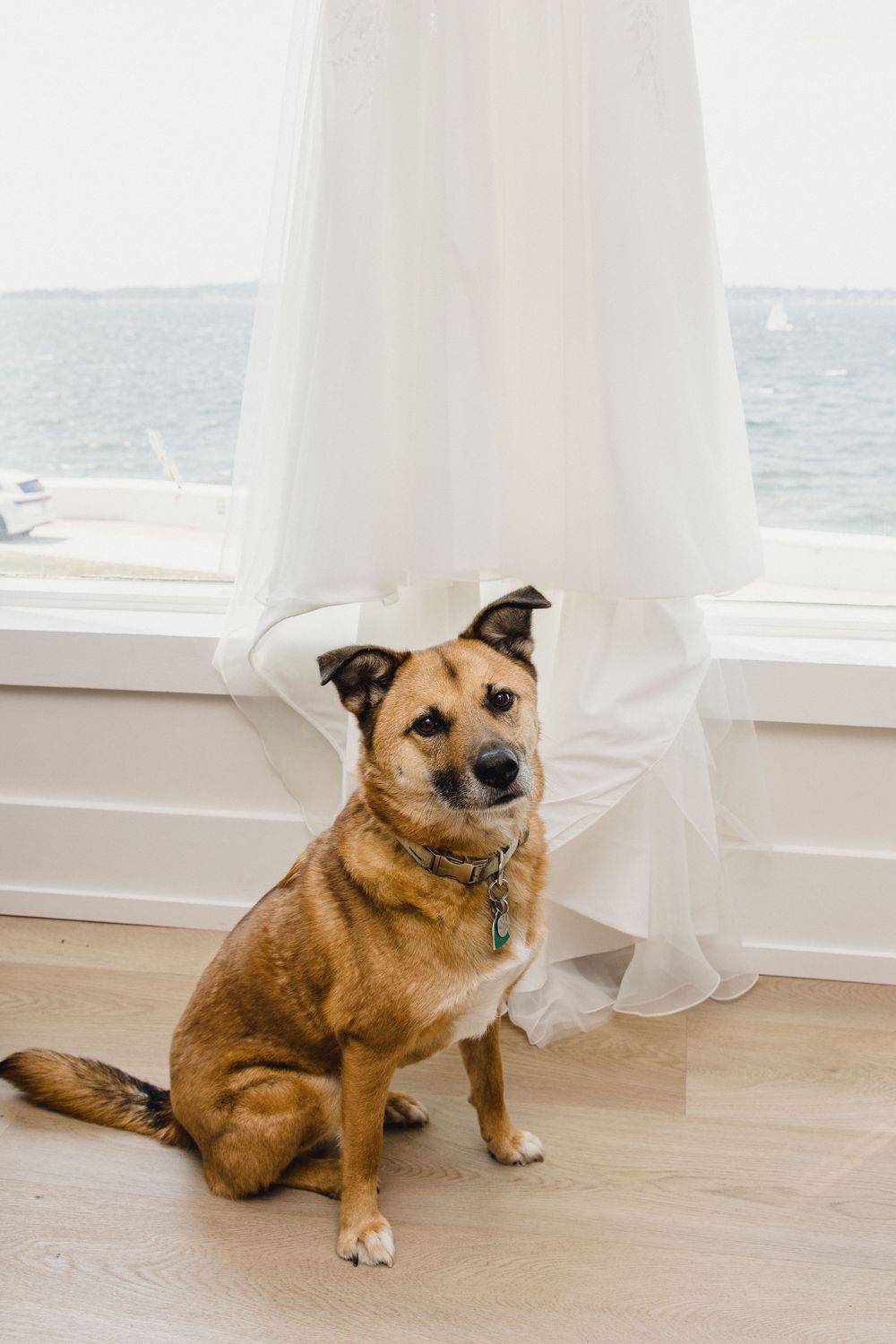 Getting ready Newport, RI wedding, Newport Harbor island resort