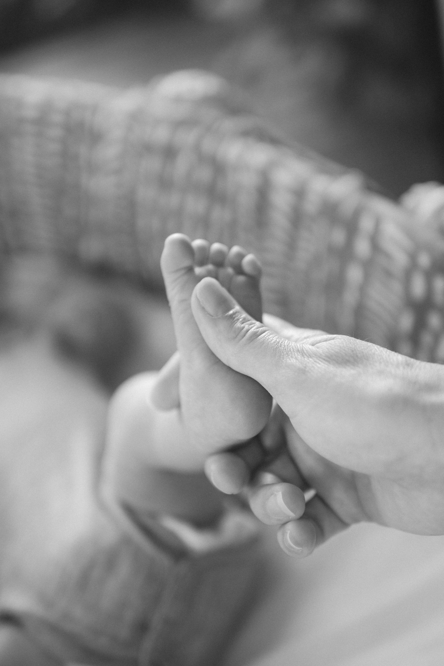 Coromandel peninsula family photography, a relaxed storytelling family in home newborn session