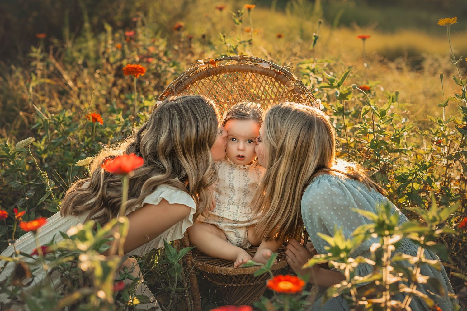 Two sisters kiss bsby sister on cheeck sitting in a wicker chair surrounded by red flowers in a sunny field.