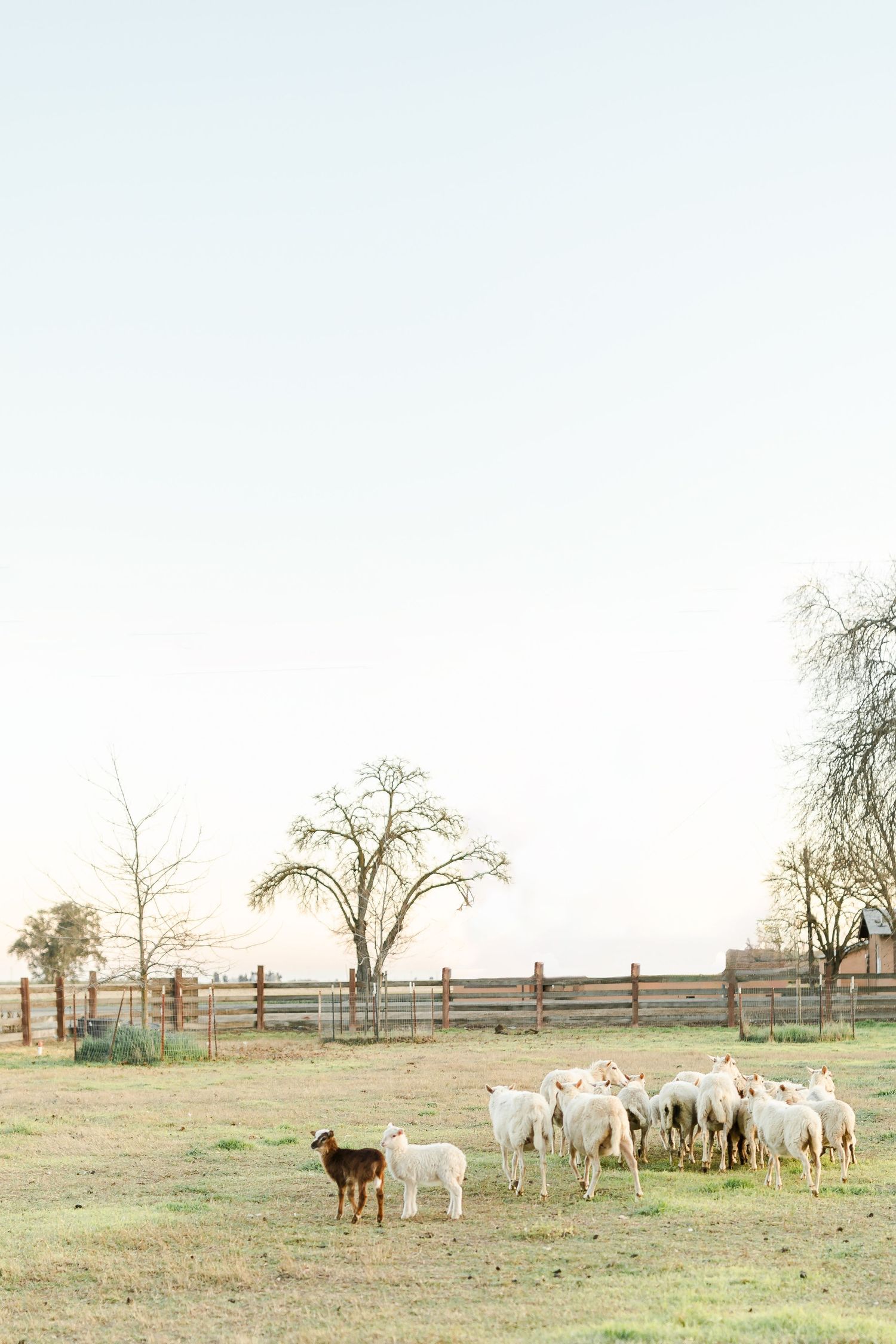 A woman in a white dress stands near a windmill on a sunny farm with green grass and a grain silo.