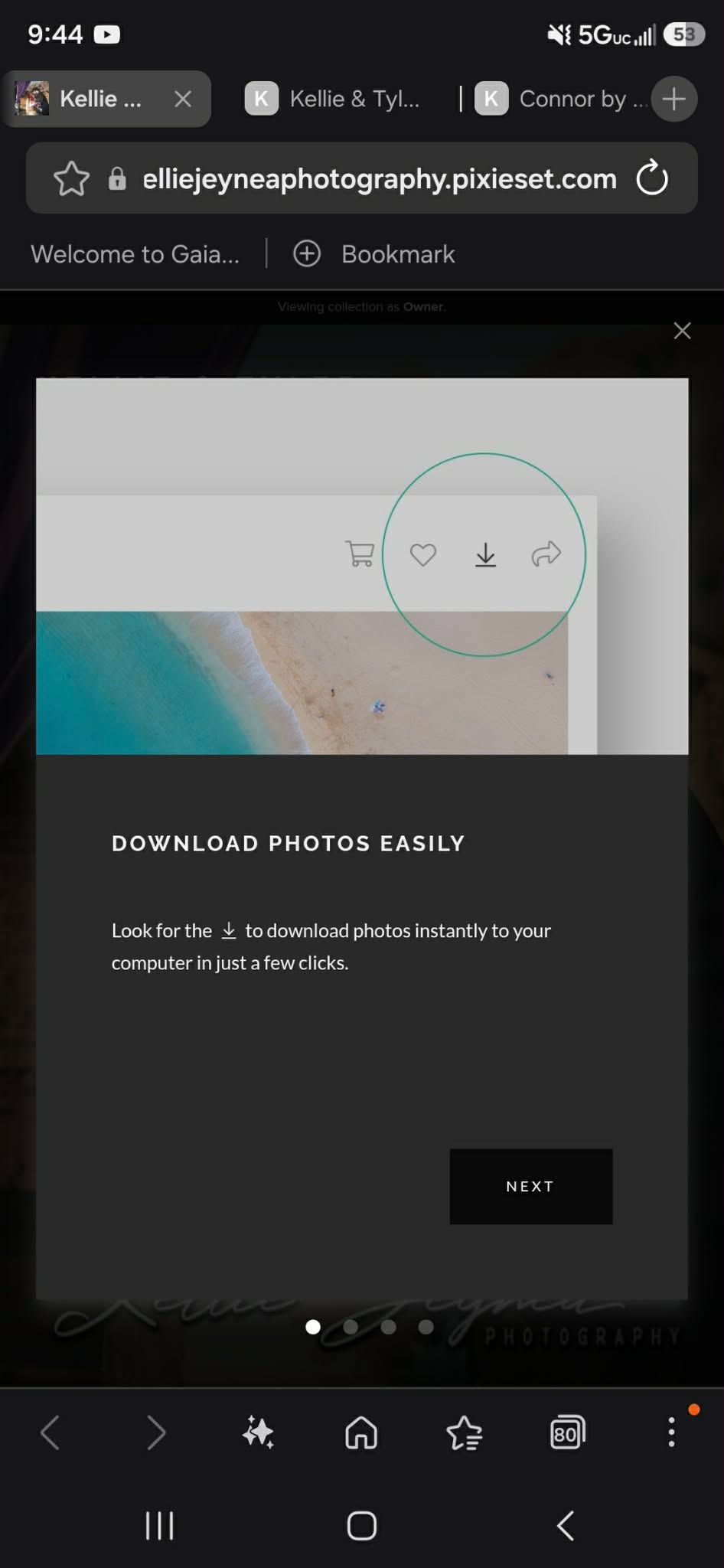 A mobile screenshot showing a photography gallery download tutorial on Pixieset with a download icon highlighted in green circle.