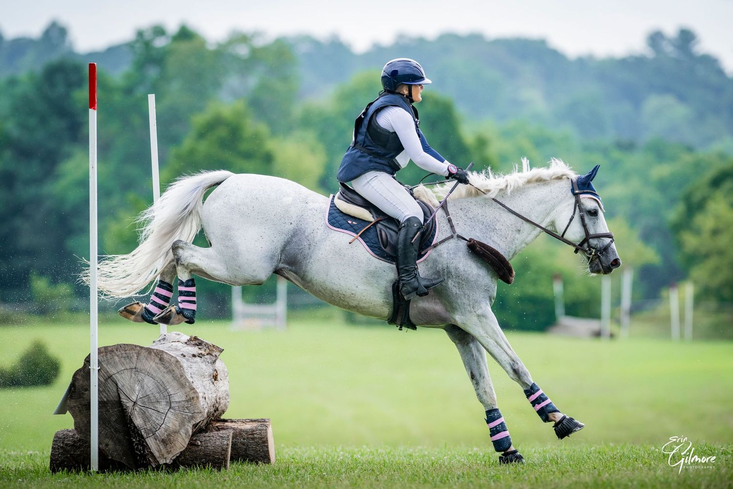 Rider on bay horse jumping over blue hedge fence with rainbow design at equestrian cross-country event.