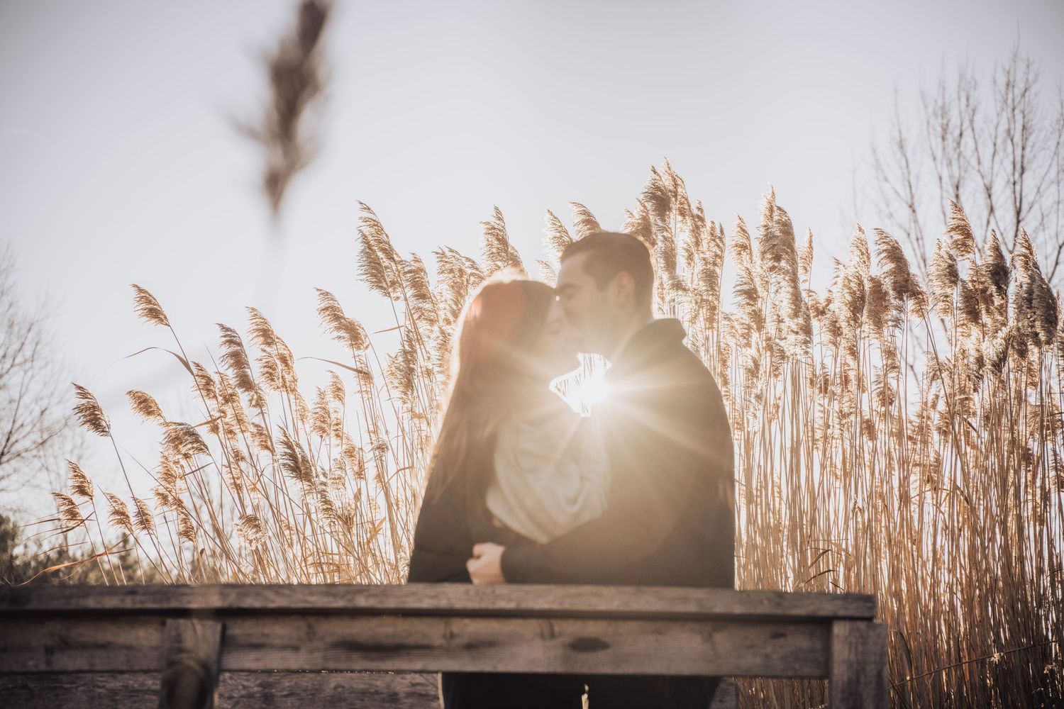 Photographie de fiançailles haut de gamme dans les Laurentides au style artistique naturel. Moment candid dans les Laurentides