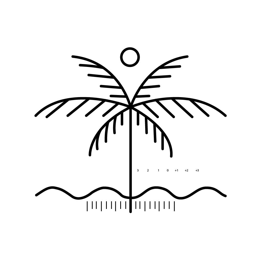 Minimalist line art of a palm tree with sun and ocean waves, black and white tropical illustration.