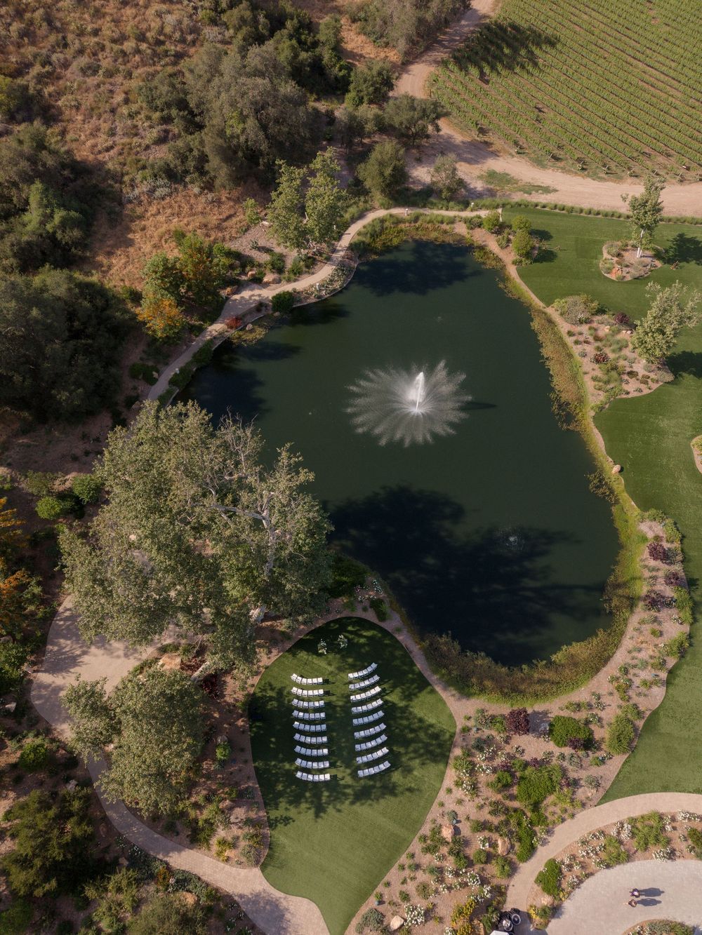 Aerial view of a wedding ceremony setup near a scenic pond with a fountain surrounded by manicured gardens.