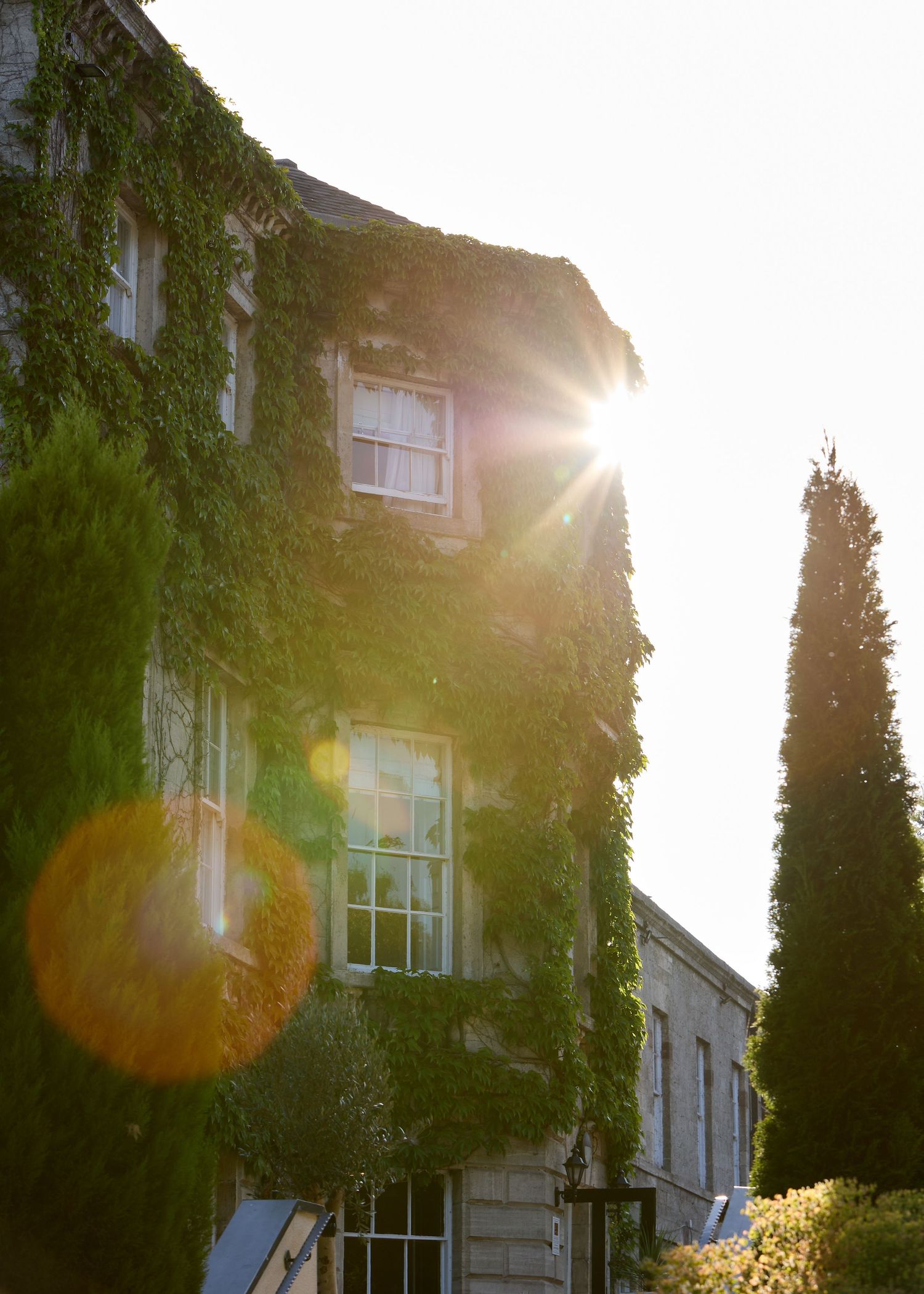 Ivy-covered stone manor house bathed in golden sunlight with lens flare, tall cypress tree, lush greenery.