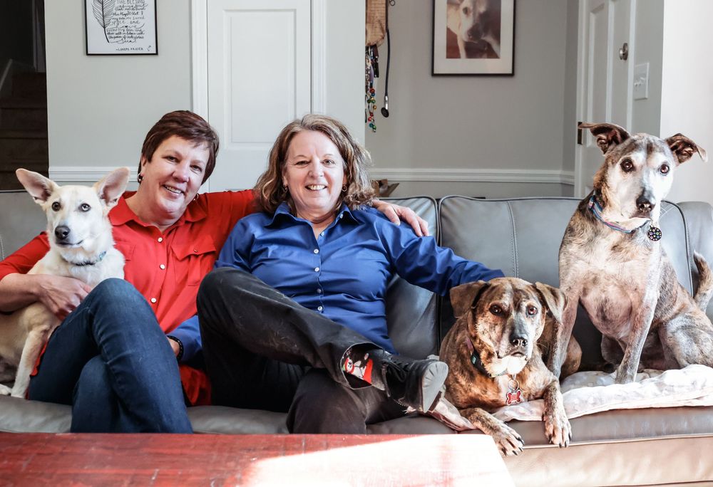 Family and Dogs