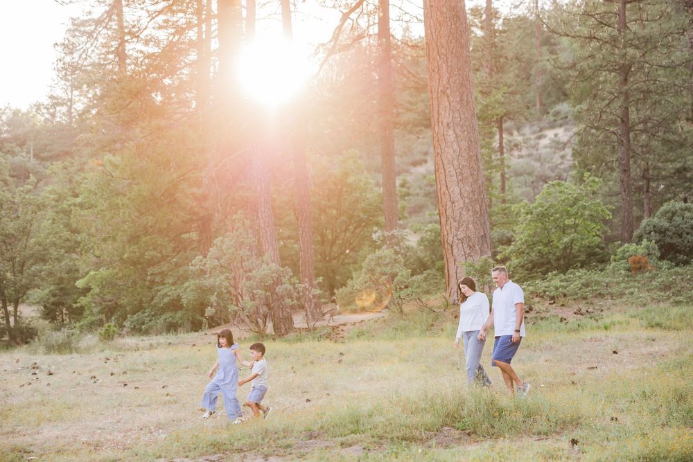 Family walking among tall pine trees in a sunlit forest clearing, golden light streaming through the trees.