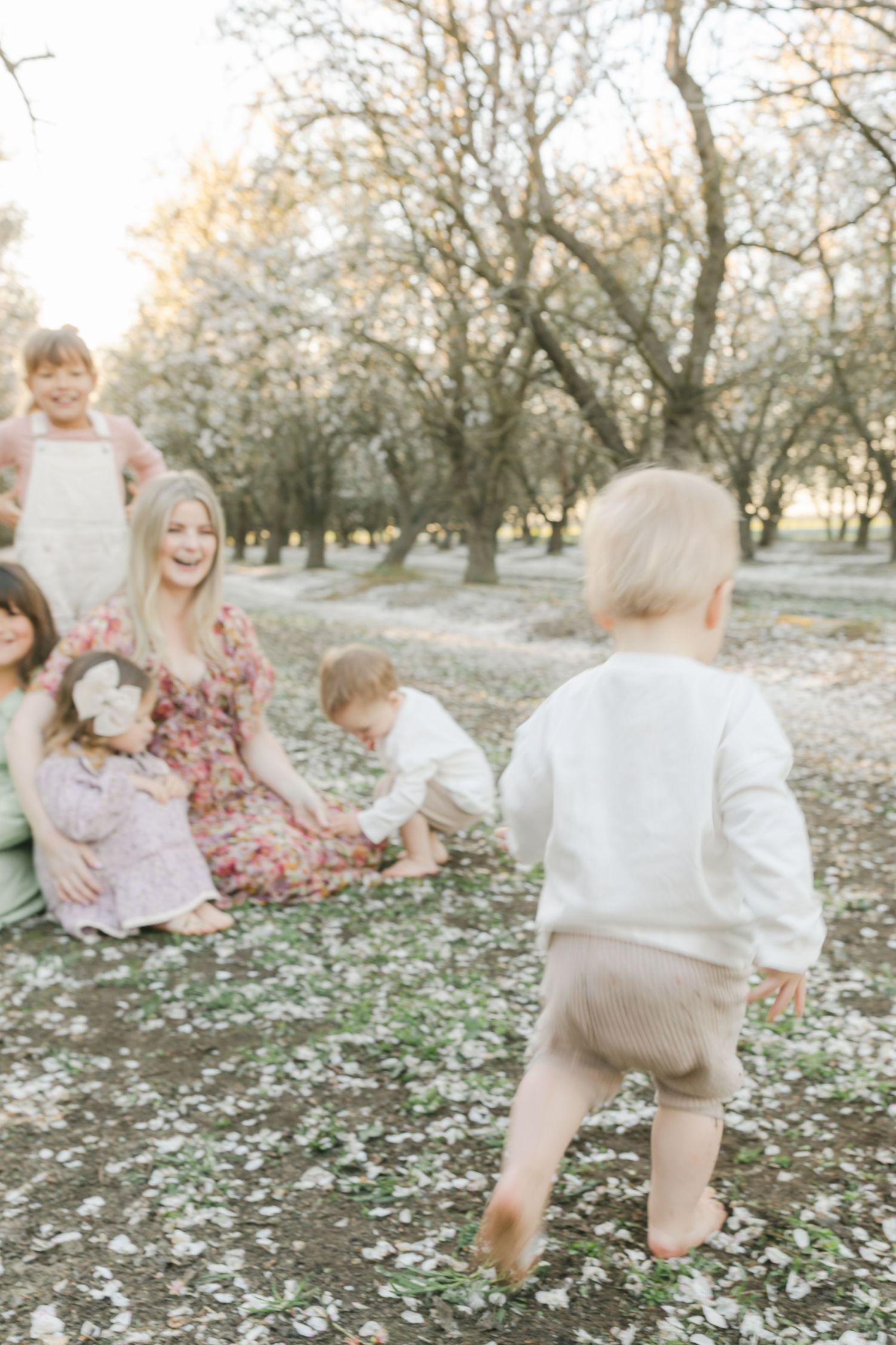 A toddler walks toward a laughing woman and children sitting among fallen blossoms under flowering trees.