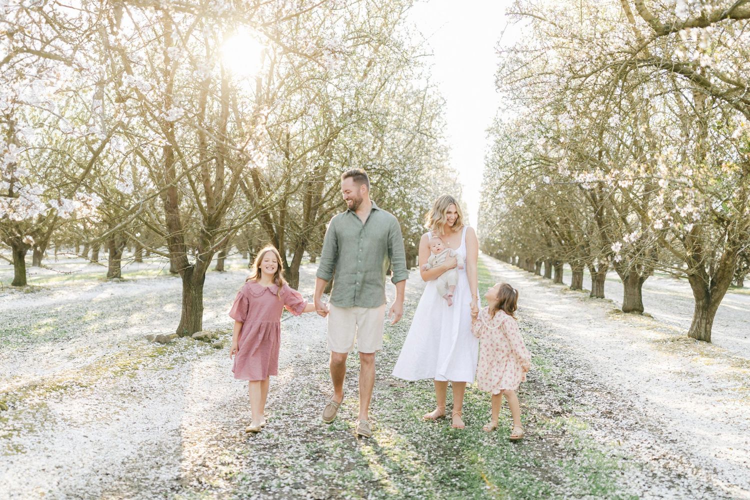 Family of four walks hand-in-hand through blooming orchard path in soft natural light.